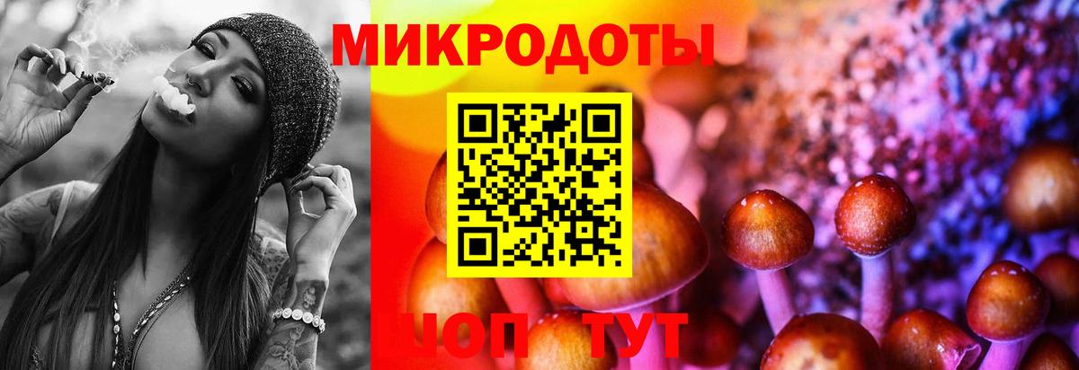 Галлюциногенные грибы Magic Shrooms  Вход с VPN  Строитель  где купить наркоту  Галлюциногенные грибы прущие грибы 