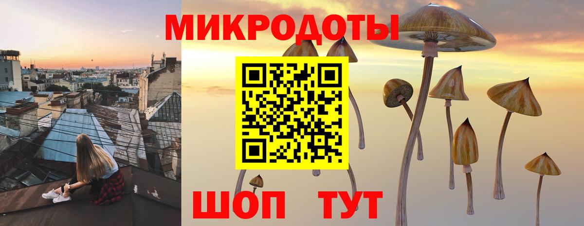 Псилоцибиновые грибы Magic Shrooms Строитель